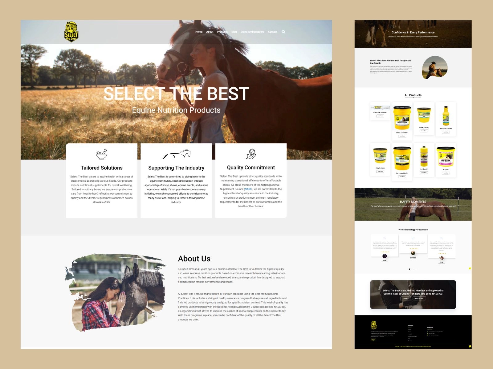 Business Website image